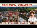 Video de Naolinco