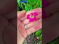 tiny pink rose journey 💗✨