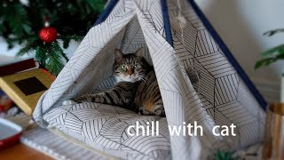 A Short Break with Cat~ Chill | Lofi | Beats | Relax | Calm | Study | Work | Sleep