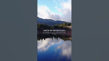 وَعَسَىٰ أَن تَكْرَهُوا شَيْئًا وَهُوَ خَيْرٌ لَّكُمْ ۖ | اسلام صبحي #quran #سورة #قرآن #اسلام_صبحي