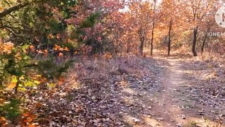 Stanley Draper Dog Trail in November OKC, OK