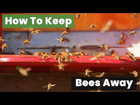 How To Keep