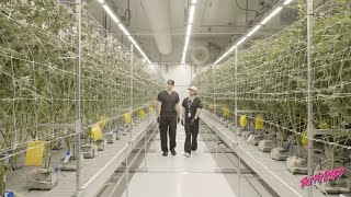 Cannabis Grow Tour | Peninsula Gardens Lake Orion, MI