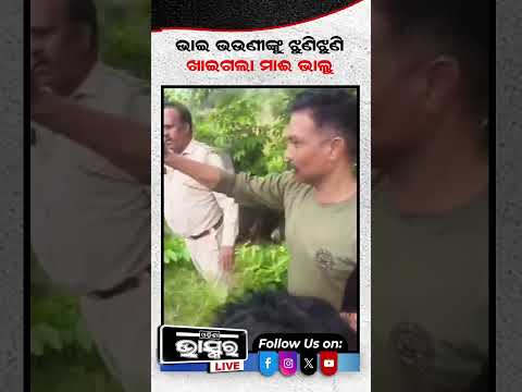 ଭାଇ ଭଉଣୀଙ୍କୁ ଖାଇଗଲା ମଣିଷଖିଆ ଭାଲୁ #bear #odishabhaskar #shortsvideo