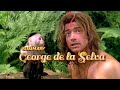 ¡Impactante! Jord Desvela los Secretos Salvajes de la Selva