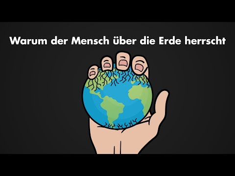 Video: Veilchen In Der Geschichte Der Menschheit Und Kochen