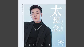 太想念 (DJ男版)