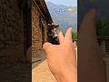 Jorki lagi 🤯🤯vfx illusion video/creative illusion video #vfx #funny #comedy