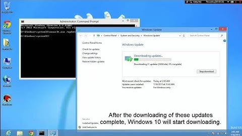 How to foce Windows 10 update