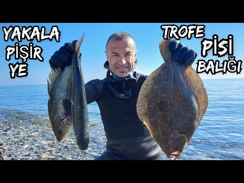 Trofe Pisi balığı🐟 Yakala PİŞİR ye🔥 zıpkınla taş altı balık avı Eşkina , kefal