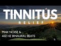 Pink Noise + 432 Hz Theta Waves | 20 Min Tinnitus Relief, Focus &amp; Relaxation #soundtherapy
