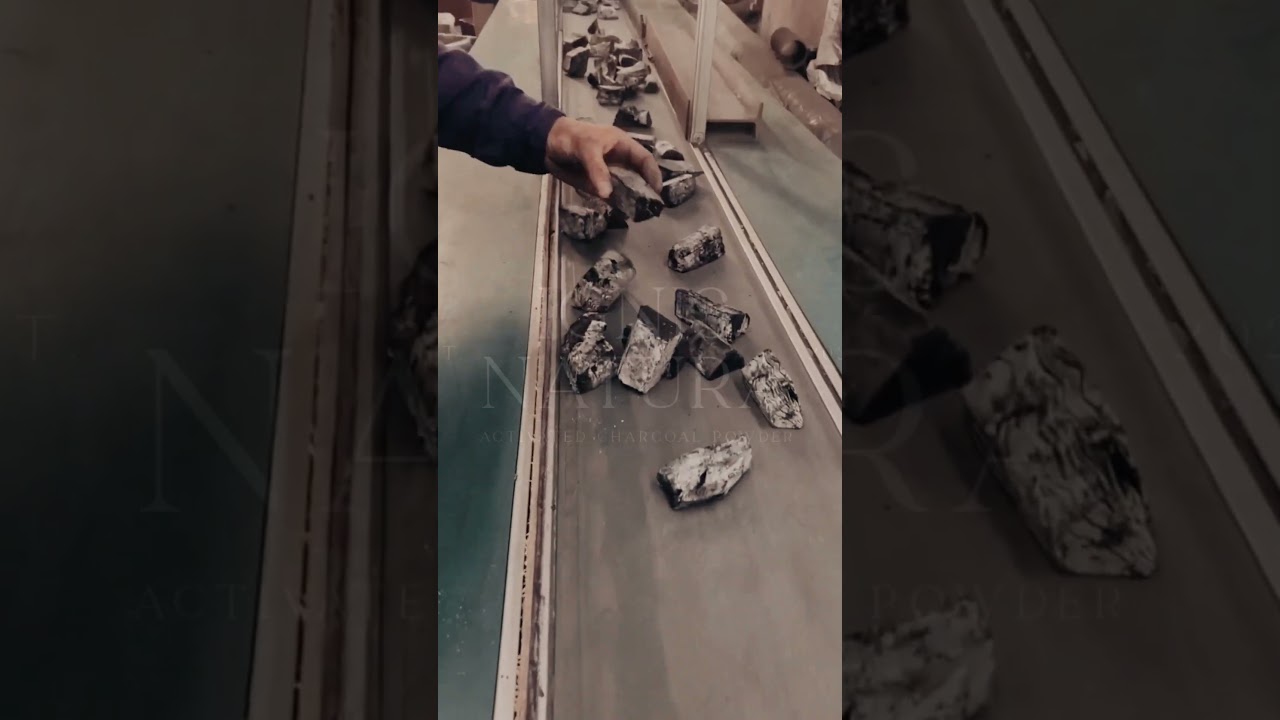 Binchotan vs. Regular Charcoal: Which one is right for you?