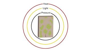 Torn but not broken: New polymers give themselves a quick fix