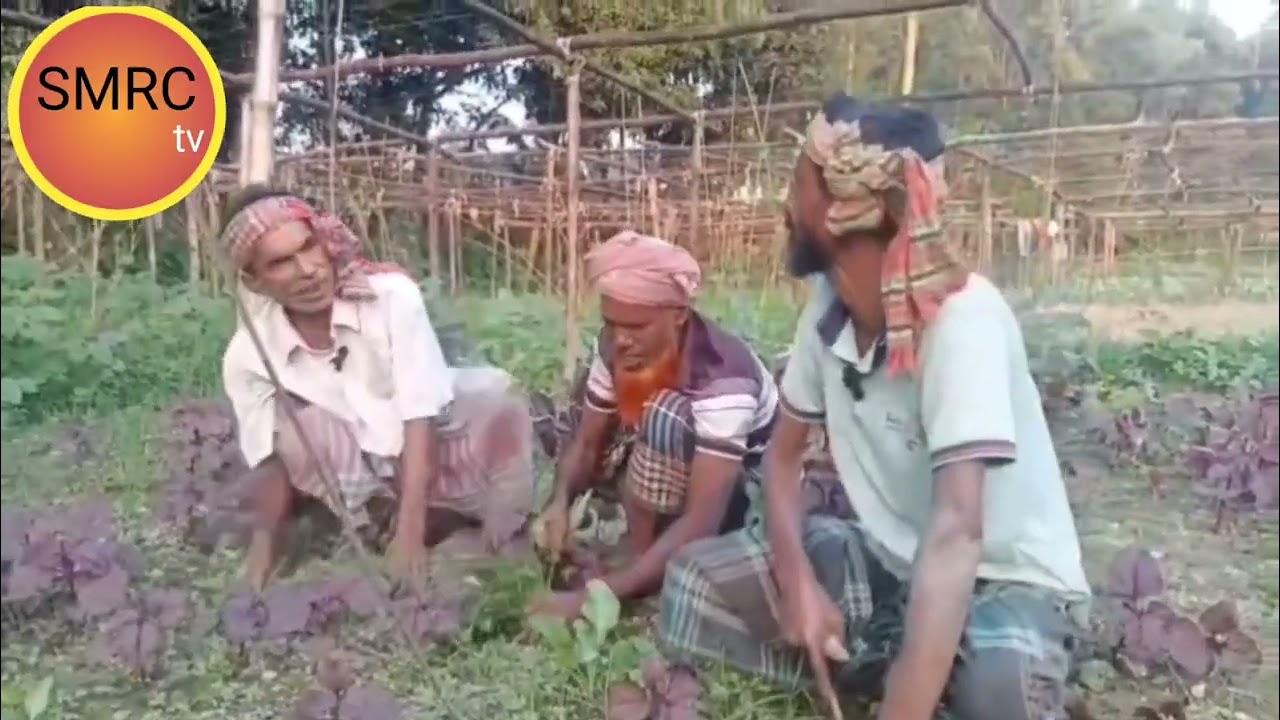 @দুই কামলার ঝগড়া,,,,,,,! 