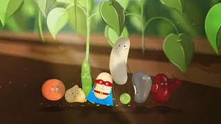 How the humble bean can help the world | BBC Ideas