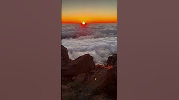 Rip Currencies from scratch: Your first step into P2P trading. Website Pooblc