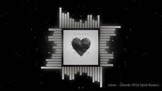 Adam | Zhurek (Wild Spirit Remix)