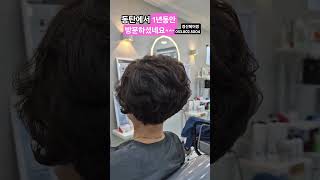 60대보브컷.펌#본플렉스 #리프팅펌 #써니펌 #37년차미용인
