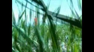 Ravshani Azibek - Tufoni Ishk