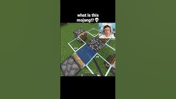 Minecraft Bedrock Glitch Moment