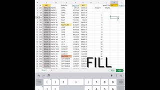 Microsoft Excel on iPad using the auto fill option