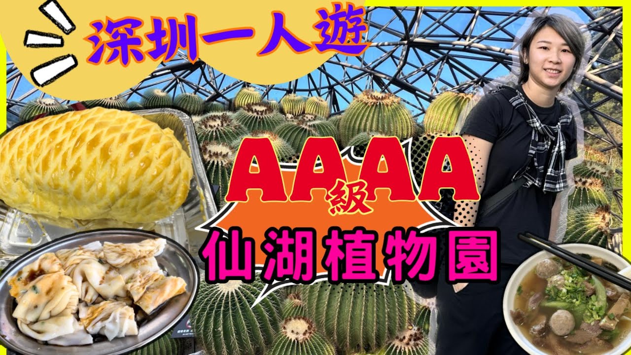深圳一日遊 快閃一人遊 ｜ 蓮塘口岸2個站 蓮塘站｜朗記腸粉 深圳仙湖植物園  粵湛雞飯店菠蘿雞 2023深圳好去處【星星帶團】