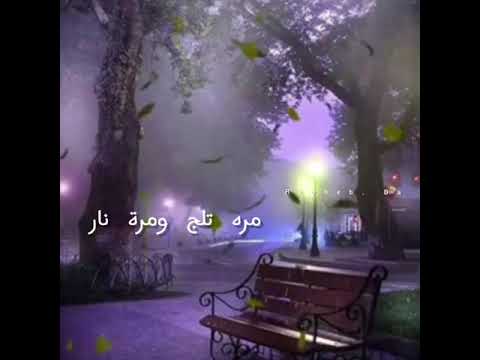 مافينا نغير ولا كلمه وائل كفوري حالات واتس