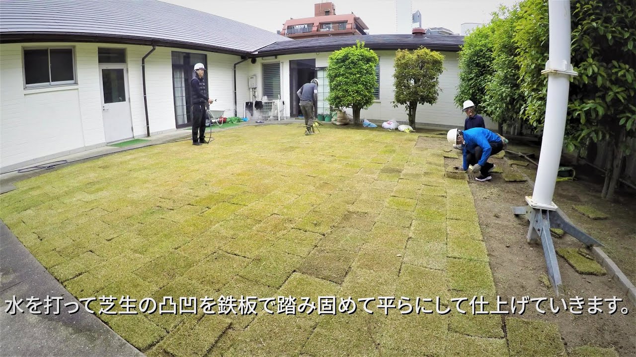 芝生の張替え 芝剥がし 新しい芝張り完成まで Youtube