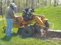 Jenny's tool shop stump grinding 101 Jenny's tool shop stump grinding 101