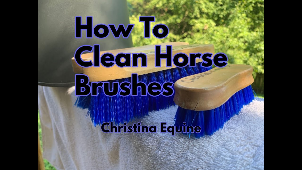 How To Clean Horse Brushes! | Christina Equine