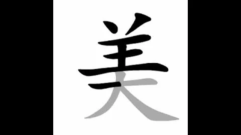 how to write chinese 美丨Chinese stroke order中文汉字笔顺动画