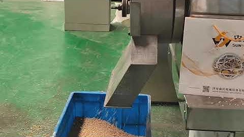 twin screw extruder floating fish feed machine video how to make floating fish feed