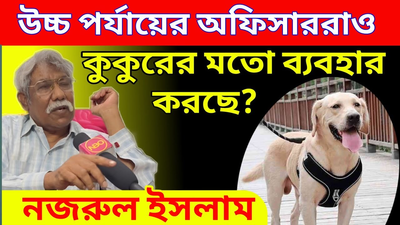 উচ্চ পর্যায়ের অফিসাররাও পা চাটা কুকুরের মতো ব্যবহার করে! বিস্ফোরক মন্তব্য Ex-IPS নজরুল ইসলামের