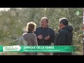 Destino Andalucía (Canal sur) visita la finca ecológica Cortijo el Puerto /Bio Olivenöl Biodynamisch