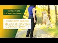 3 ducation canine positive  comment punir mon chien 