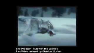 THE PRODIGY - RUN WITH THE WOLVES (FAN VIDEO)