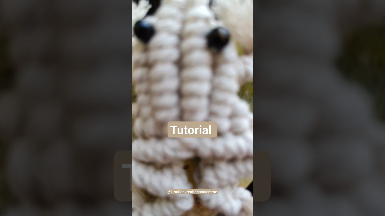 How do you macrame frog 🐸 || Home decor ❤️ 