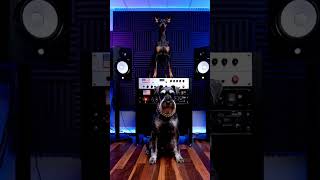 The Underground Freestyle rap( Mix) #foryou  #rap #music #shorts #viralvideo