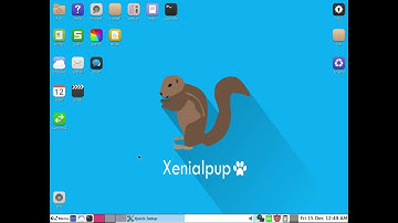 Puppy Linux XenialPup 7.5 Review - What a Light Pup!