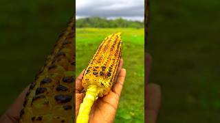 රෝස්ටඩ් කෝන්??️|Roasted Corn|street style spicy bhutta recipe|food wowcookbookcorn