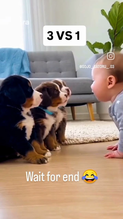 wait for end 😂 Booyah 😎