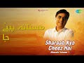 مستانہ پیئے جا | Sharaab Ghazals - Kya Cheez Hai | Ghulam Ali Songs |