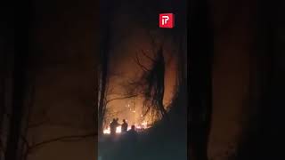 ხანძარი ვანის ტყეში