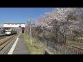 2026年4月16日　桜が満開の信濃追分駅を行く しなの鉄道 115系 電車 S7編成 初代長野色　戸倉→軽井沢