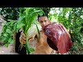 Wilderness Life : How to Primitive Cooking Pigs Liver On Roof Tiles old For Food
