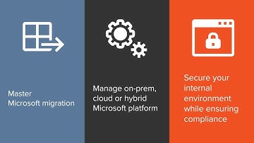 Quest: Your Go-To For Everything Microsoft