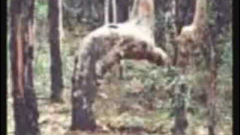 الرقيه الشرعيه نبيل العوضي سورة الفاتحه و اول سورة البقره و اية الكرسي مكرره 10 دقائق