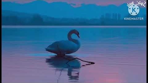 أرح قلبك وسمعك سورة ق متكررة بدون حقوق طبع ونشر قراءه تريح القلب والنفس للقارئ حسين سمير