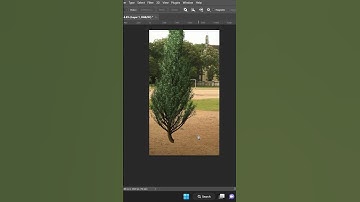 How to make custom tree in photoshop(Easy Way) #shorts #photoshop #photoshoptutorial