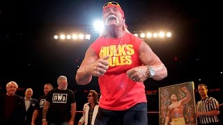 Hulk Hogan Appreciation Night - Madison Square Garden, February 27, 2015